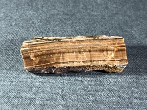 Barite "Derbyshire Oakstone" from Arbor Low, Youlgrave, Derbyshire, U.K. (REF:AM106)