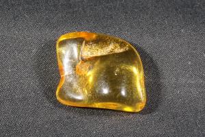 Amber Baltic (REF:AMB7)