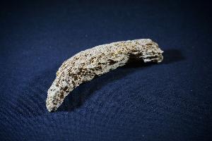 Cave Bear (Ursus Spelaeus) Bone Fragment, from Romania (REF:CB11)