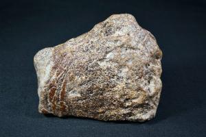 Ichthyosaurs Bone Fragment, from Weymouth, Dorset, UK (REF:IBF4)