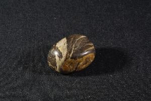 Polished Acaciella Stromatolite, from Bitter Spring Formation, Ross River, Northern Territory, Australia (REF:SS24)