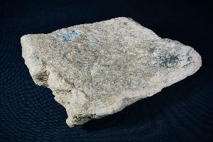 Triceratops Frill Bone Fragment, from Lance Creek Formation, Weston County, Wyoming, U.S.A. (REF:TDB6)