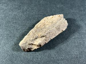 Tyrannosaurus Rex (T.Rex) Bone Fragment, from Hell Creek Formation, Eastern Montana, USA (REF:TREX53)