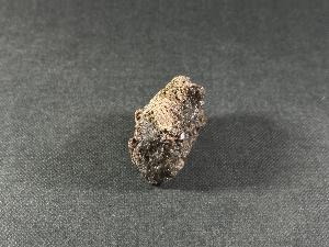 Tyrannosaurus Rex (T.Rex) Bone Fragment, from Hell Creek Formation, Eastern Montana, USA (REF:TREX56)
