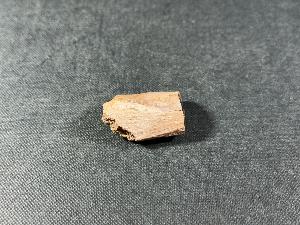 Tyrannosaurus Rex (T.Rex) Bone Fragment, from Hell Creek Formation, Eastern Montana, USA (REF:TREX65)