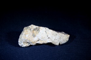 Hadrosaur Bone, Judith River Formation, Montana, U.S.A. (No.115)