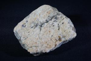 Torosaurus Dinosaur Bone, from Hell Creek Formation, Northern Montana, U.S.A. (No.14)