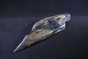 Mammoth Tusk Fragment (No.217)