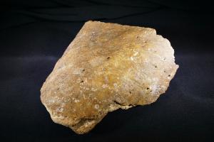 Mammoth Bone, from North Sea Area, Ice Age (No.237)
