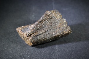 Ichthyosaur Rib Bone, from Lyme Regis, Dorset, England (No.25)