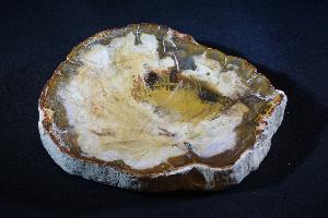 Fossil Wood, from Madagascar (No.902) 