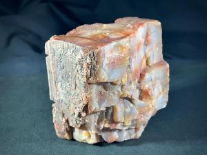 Araucarioxylon Petrified Wood, from Arizona, U.S.A. (REF:ARXY2)