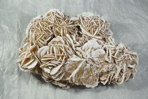 Desert Rose (Gypsum), from Sahara Desert, North Africa (REF:DR12)