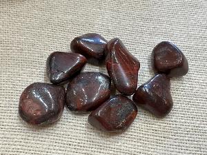Mary Ellen - Stromatolite - Jasper - 5g to 10g Tumbled (Selected)