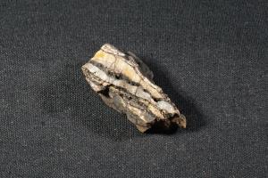 Stromatolite (Microbial), from Dresser Formation, Western Australia (REF:SS13)