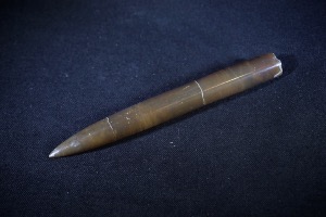 Belemnite from Northamptonshire, England (No.307)