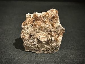 Daisy Bed Gypsum, from Birks Head Mine, Vale of Eden, South Eastern Region, Cumbria, UK (REF:DBGYP5)