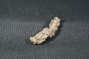 Fulgurite, from Morocco (REF:FUL2)