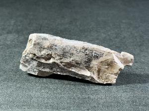 Mammoth Tusk Fragment, from the North Sea Area (MTUSK10)