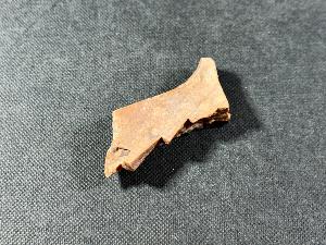 Tyrannosaurus Rex (T.Rex) Bone Fragment, from Hell Creek Formation, Eastern Montana, USA (REF:TREX71)