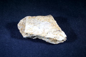 Hadrosaur Bone, from Judith River Formation, Montana, U.S.A. (No.114)