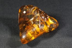 Amber Baltic (REF:AMB1)