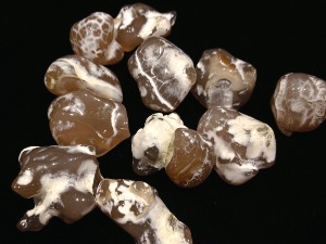 Agate - Snake Skin - Tumbled stone