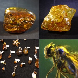 Amber & Copal + Jewellery