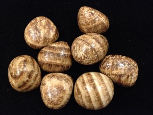 Aragonite - Brown - Tumbled Stone (selected)