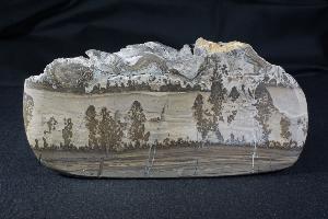 Cotham Marble, Also Know As Landscape Marble, from Wales, UK, (REF:CMS5)