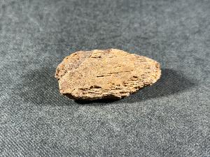Edmontosaurus Bone, from Hells Creek, Montana, U.S.A. (REF:EDMON11)