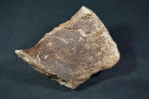 Ichthyosaurs Bone Fragment, from Weymouth, Dorset, UK (REF:IBF7)