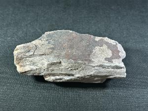 Mammoth Tusk Fragment, from the North Sea Area (MTUSK4)