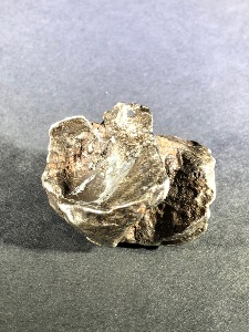 Sikhote-Alin Nickel-Iron Meteorite