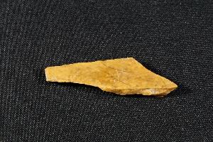 Tyrannosaurus Rex Bone Fragment, from Hell Creek Formation, Eastern Montana, USA (REF:TREX1)