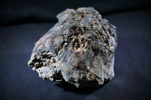 Dinosaur Coprolite (No.8)