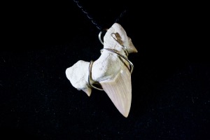 Lamna Shark Tooth Hand Wired Pendant (No.842)