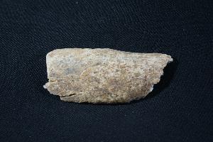 Cave Bear Bone Fragment, from Hateg Mountains, Romania (REF:CB19)