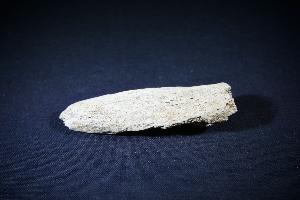 Cave Bear (Ursus Spelaeus) Bone Fragment, from Romania (REF:CB5)