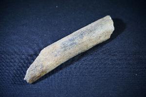 Cave Bear (Ursus Spelaeus) Bone Fragment, from Romania (REF:CB7)
