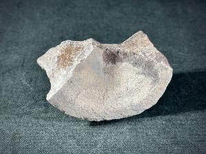 Ichthyosaur Vertebrae, from Oxford Clay Formation, Peterborough, England, UK (REF:ICH4)