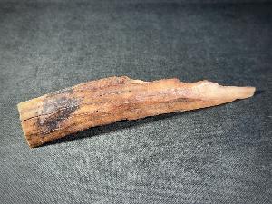 Mammoth Tusk (Material) Fragment, from Alaska, U.S.A. (REF:MTUSK8)