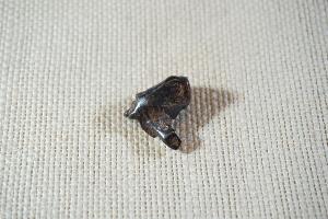 Sikhote - Alin IIIAB Meteorite, from Russia (REF:SAM4)