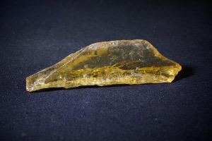 Copal (No.859) 