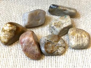 Agate - Agatised Coral - 5g to 10g Tumbled stone (Selected)
