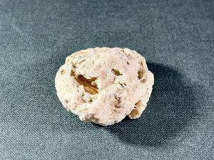 Fossil Sea Sponge, from Morocco (SPO3)