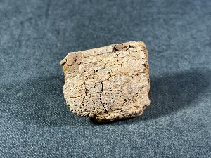 Edmontosaurus Bone, from Hells Creek, Montana, U.S.A. (REF:EDMON10)