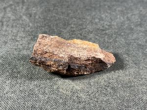 Edmontosaurus Bone, from Hells Creek, Montana, U.S.A. (REF:EDMON14)