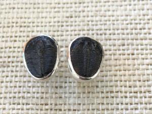 Trilobite - Sterling Silver Stud Earrings (Ref E27Stud)